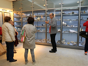 A pincétől a padlásig - Múzeumi kalandozás az Intercisa Múzeumban
